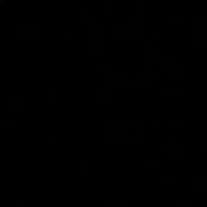 Meet your Posher, Toby